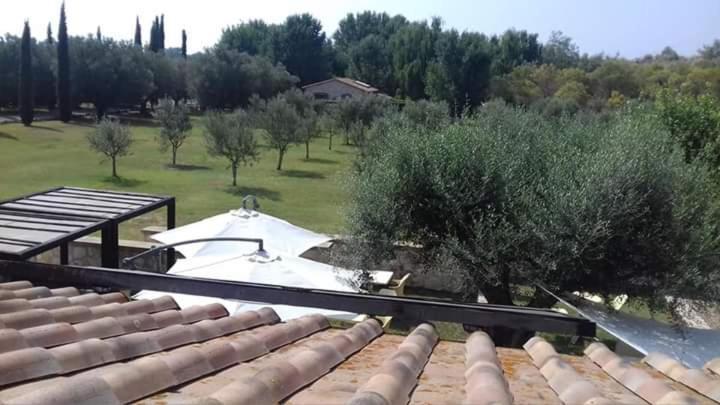 Agriturismo Lupo Cerrino Tarquinia Exterior photo